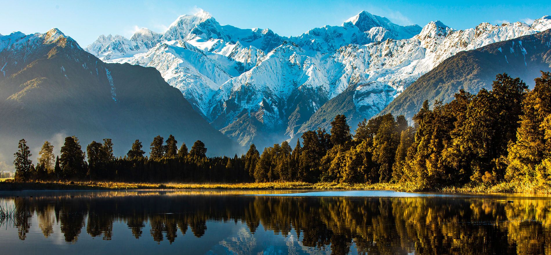 Investing for Americans in New Zealand can be complex